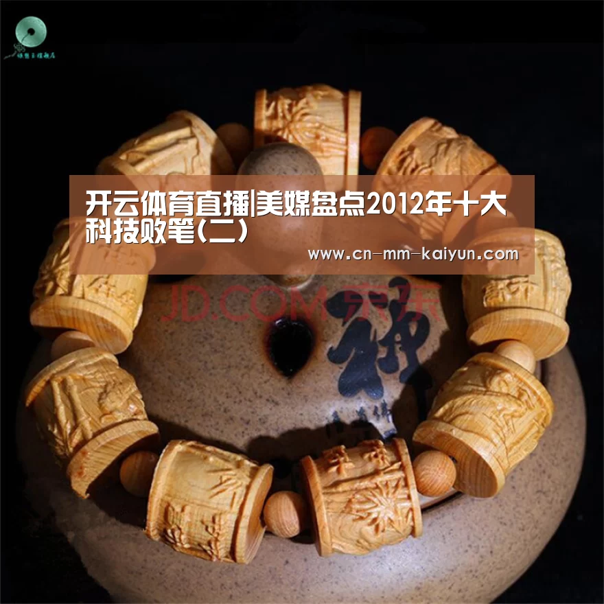 开云体育直播|美媒盘点2012年十大科技败笔(二)(图3) 开云体育下载
